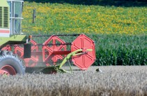 Tätigkeitsbericht der Land- und Forstwirtschaftsinspektion 2020