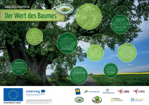 Der Wert des Baumes - Plakat - Natur im Garten