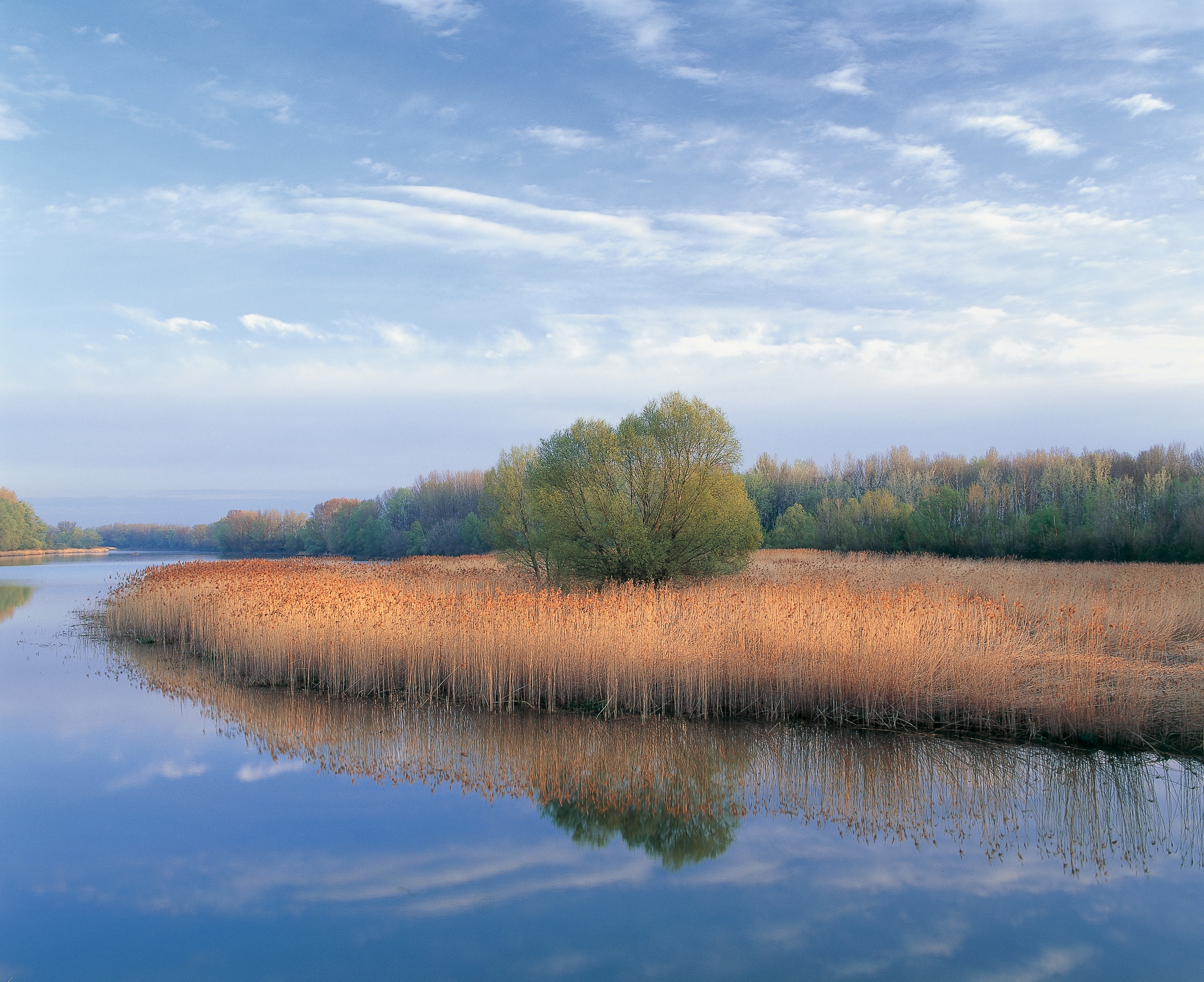 Donau-Auen